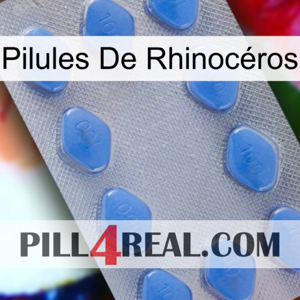 Pilules De Rhinocéros 21